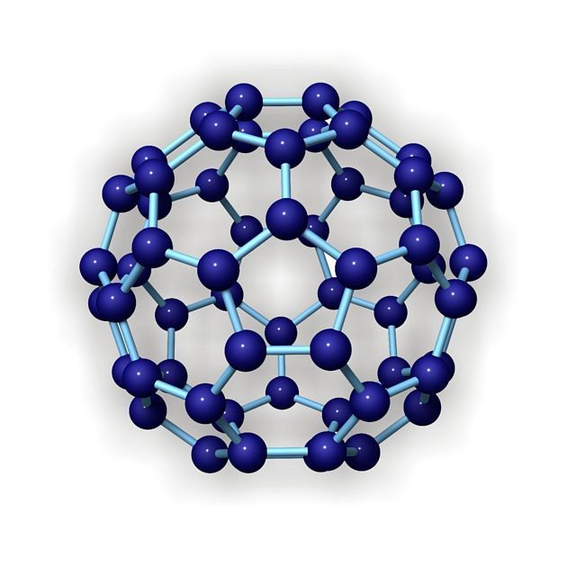 免疫细胞有时也会“失灵”哦