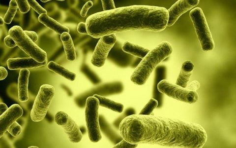 纳米技术——细菌感染的克星
