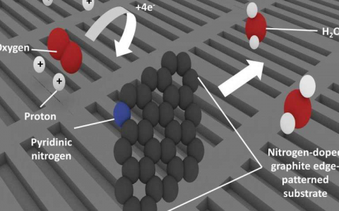 探究燃料电池中不含铂催化剂的奥秘