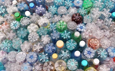 饿了么？原来塑料可以被它“吃”掉