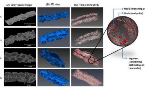 微型X射线可用来探寻油炸食品中的奥秘