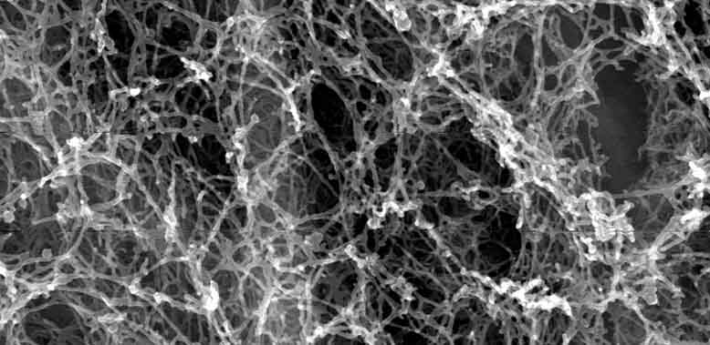 JPOXMLDOC01-appb-D000002