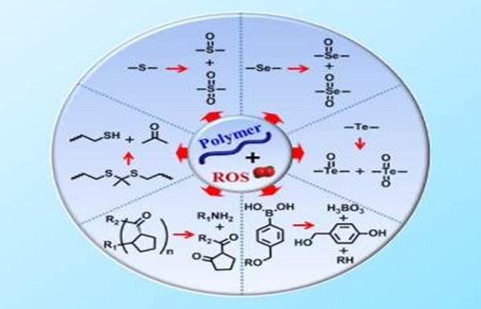 ROS_Responsive_Polymers-1_副本