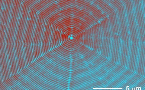 不一样的GaN:提高光电性能的新方法