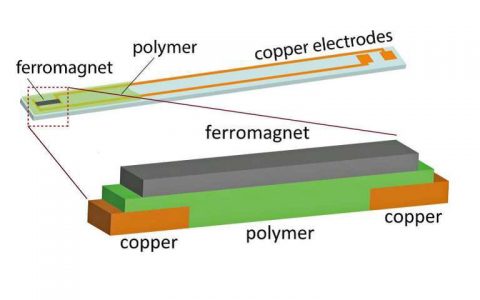 Nature Materials：犹他大学研究团队在一系列有机半导体材料中发现逆自旋霍尔效应