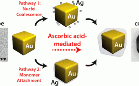 JACS文献解读:Au−Ag核壳结构纳米颗粒实时生长过程研究