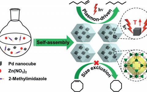 江海龙 Angew. Chem：Pd 纳米立方体@ZIF-8整合金属有机骨架材料和光热转换效应实现高效选择性催化
