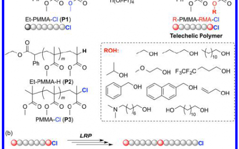 JACS文献解读:端基氯代聚甲基丙烯酸甲酯的末端选择性酯交换:一种模块化方法来合成遥爪和精确功能化的高分子