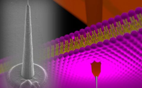 #纳米周报#大脑助推器——纳米塔电极