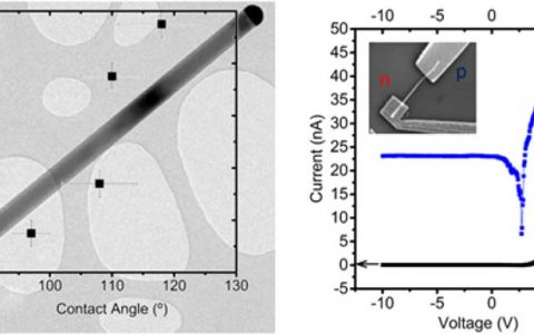Nano Letters：磷化铟P-N结二极管纳米线的高产量生长和表征