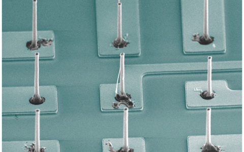 文献解读 - 杨培东 Nature Nanotechnology：单根硅纳米线光电化学