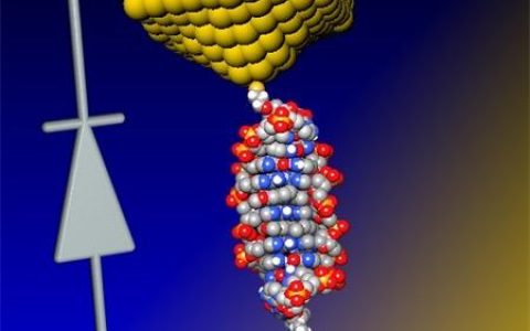 世界上最小的二极管问世啦！