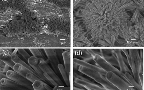 NANO LETTERS：ZnO纳米管-纳米线混合型结构的快速生长及其在乳腺癌相关挥发性有机物检测方面的应用