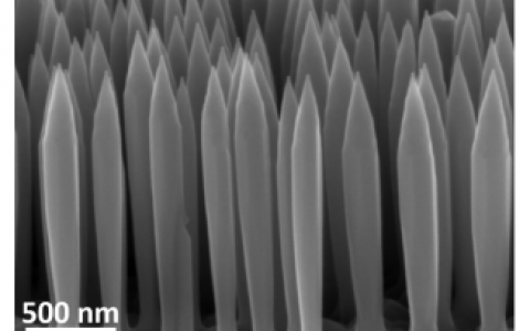 Nano Letters文献解读：纤锌矿型磷化铟纳米线的压力依赖型光致发光研究