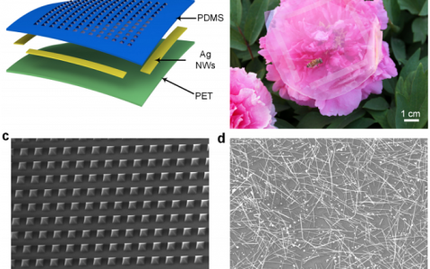 ACS Nano：北京大学成功研制出能够自供电的高分辨率智能皮肤