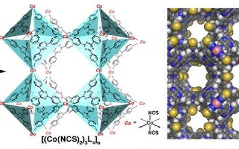 IUCrJ文献导读：东京大学升级晶体海绵技术 非晶结构测试到达新高度