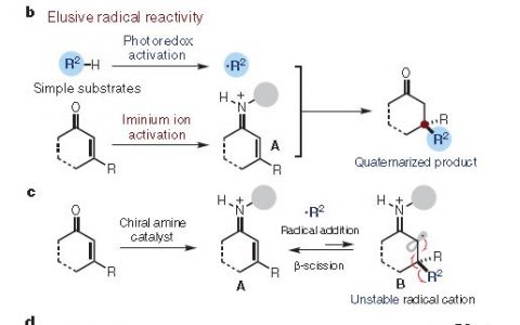 合成手性分子的根本途径
