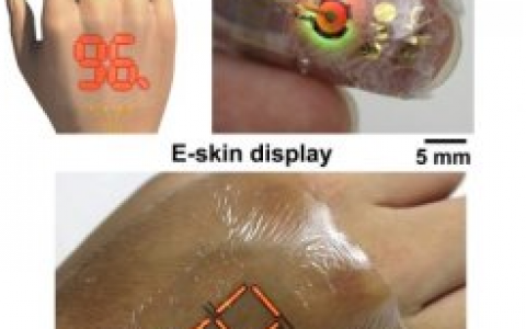 #电子材料周报#超薄有机材料助力电子皮肤显示器