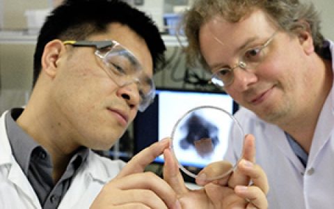 利用泡沫技术将药物直接注入癌细胞中