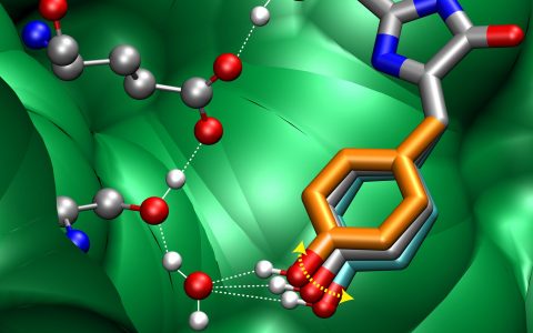SCI丨科研必备：Nature 投稿指南