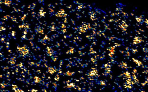 电极“软着陆”技术?提高电池寿命和容量的新利器