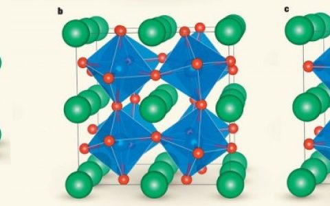 Nature最新报道：兼具金属导电性和绝缘体极性的“极性金属”