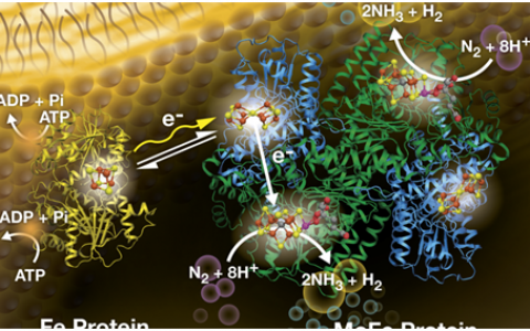 神马根瘤菌、哈勃过程都走开吧，光催化固氮来咯！