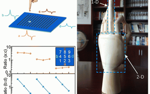 自供电的新型透明皮肤赋予了机器人更强的感知能力
