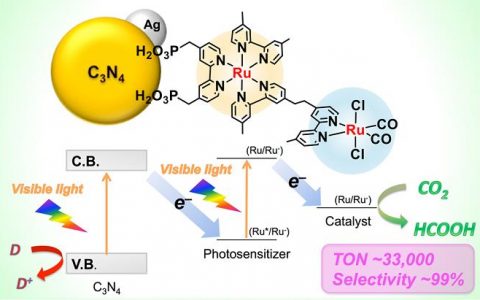 JACS 文献导读：受自然光合作用启发，双核Ru（II）配合物与有机半导体在可见光区构筑高持久性的二氧化碳还原体系