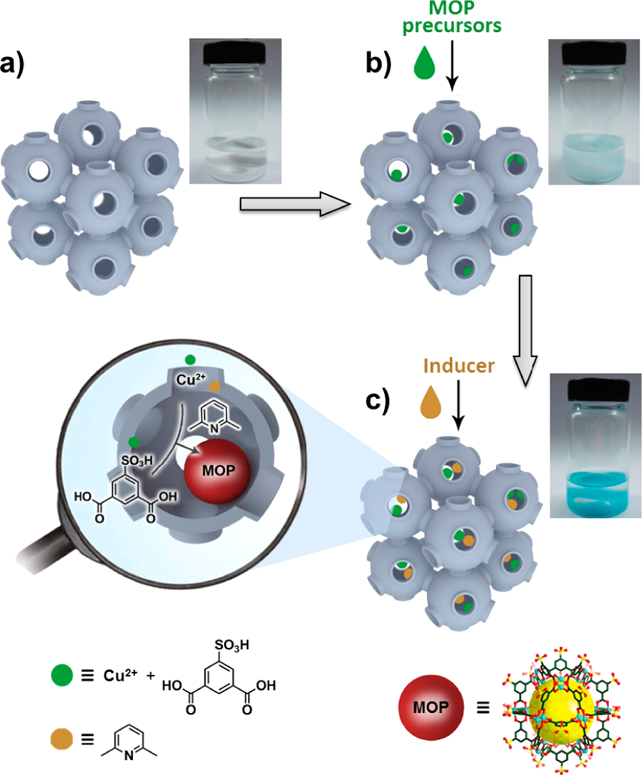 JACS文献解读:金属有机多面体(MOPs)的合成及其催化、吸附性能