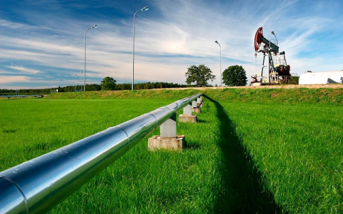 水油交融——生物表面活性剂为重油运输带来新机遇