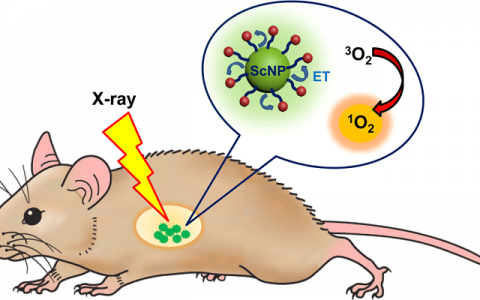 ACS Nano综述文献解读：闪烁纳米粒子作为能量传递媒介用于增强型光动力治疗