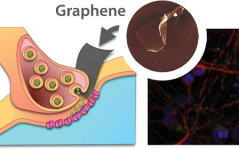 ACS Nano:石墨烯有望应用于神经性疾病治疗