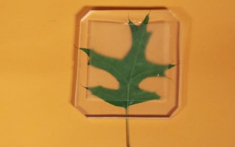 木材也玩出新花样:既透明,机械性能也大幅提升!