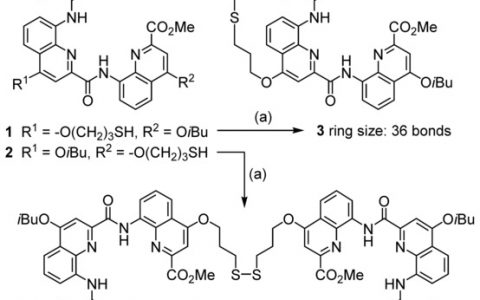 Angewandte Chemie：通过二硫键使大分子选择性自组装为螺旋形结构