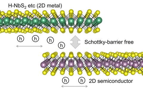 Science Advances: 2D金属与2D半导体搭伙 构建载流子通道