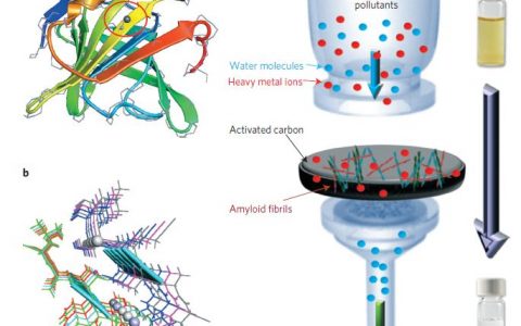 顶刊动态|4月份Nature nanotechnology材料前沿科研成果精选