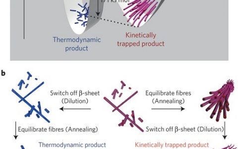 顶刊动态｜4月份Nature Materials材料前沿科研成果精选