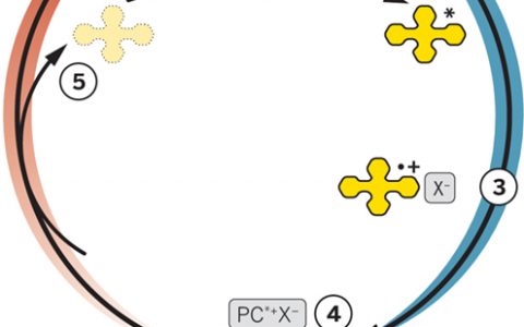 Science最新报道：原子转移自由基聚合（ATRP）——采用有机物光催化反应，非传统的金属催化剂！