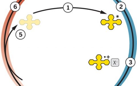 Science同期评论：有机催化ATRP  更清洁的活性聚合方法
