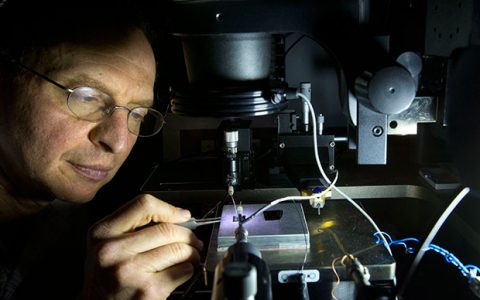 电致变色聚合物的好辅助：等离子体