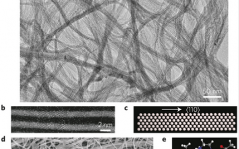 顶刊动态|Nature Materials纳米材料研究进展汇总【2016.05月刊】