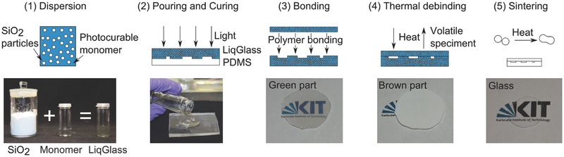 adma201506089-fig-0001
