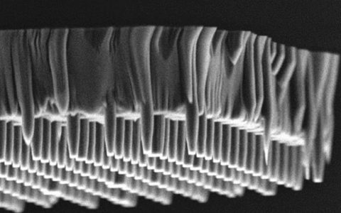 可提供纳米尺度视图的单原子传感器