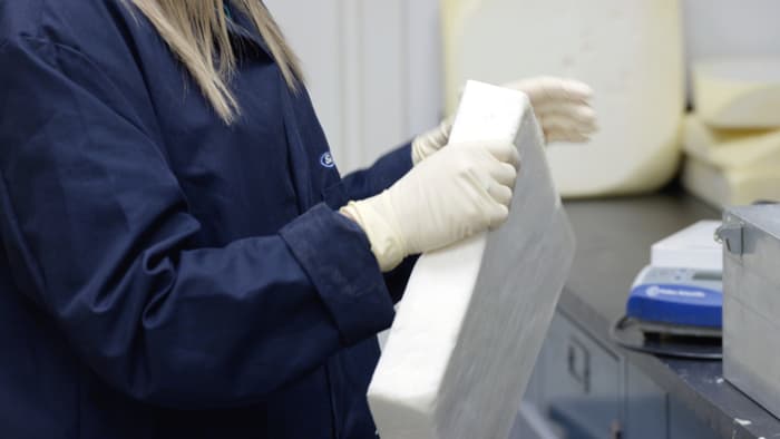 ford-co2-developed-plastics-8