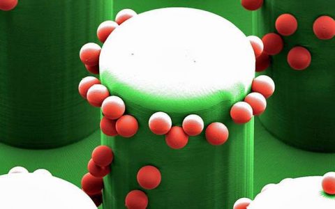 莫愁！源自壁虎的除尘利器来啦！