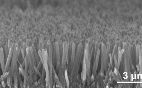 夏日酷暑 看科学家研制“纳米森林”来降温！