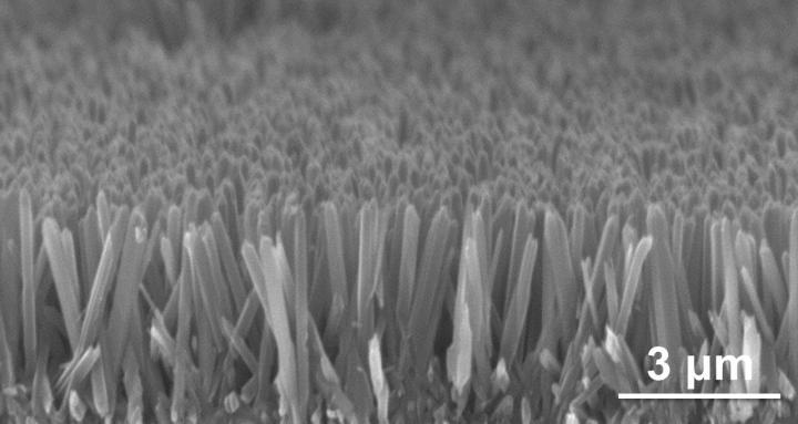 nanowire