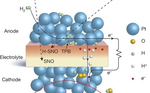 不服不行！钙钛矿在氢燃料电池中也是“狠角色”