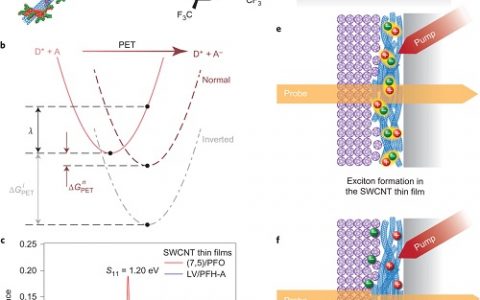 Nature Chemistry：单壁碳纳米管异质结中激子分离的驱动力调控